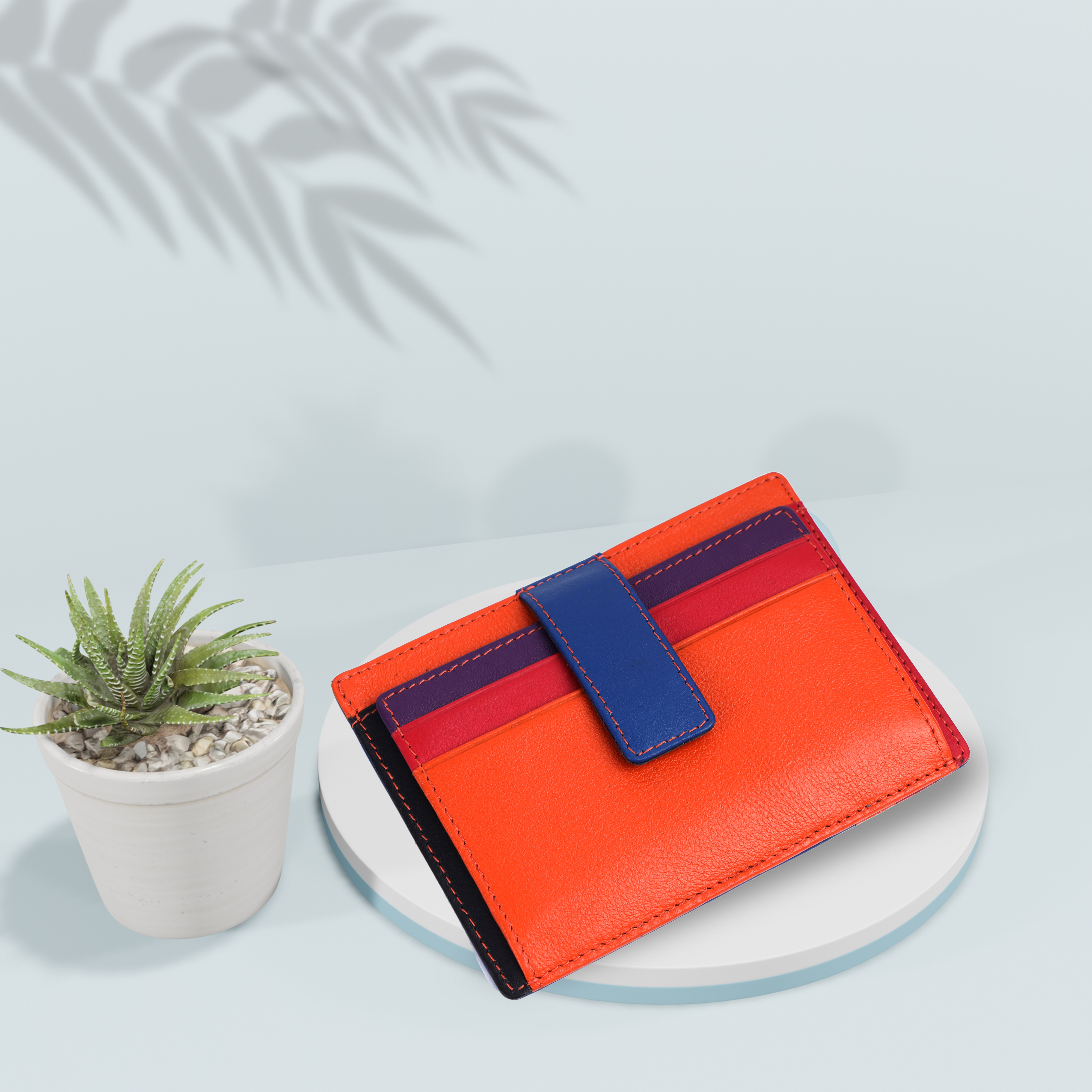 Premium Card holder with beautiful design elements